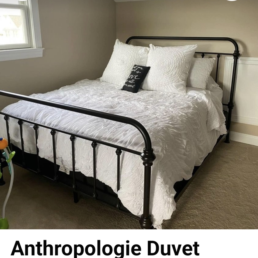 Anthropologie queen duvet with 2 pillow covers